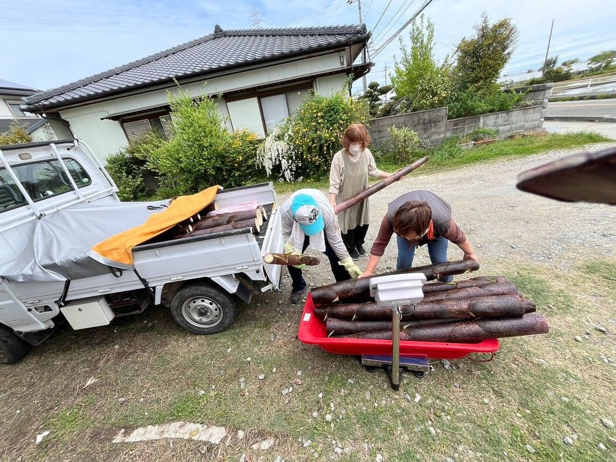 竹の計量